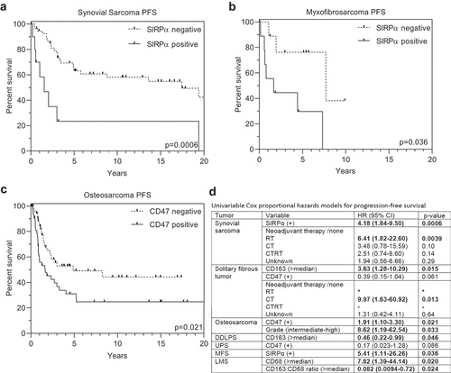 Figure 5. Prognostic implications of tumor-associated macrophage biomarkers in sarcomas, based on immunohistochemical staining of tissue microarrays. Kaplan–Meier curves (a-e) show Progression-free survival (PFS) based on any SIRPα-positivity in synovial sarcoma (a) and myxofibrosarcoma (b). (c) PFS based on any CD47-positivity in osteosarcoma. (d) Univariable Cox proportional hazards models results for sarcoma types indicated, showing all variables with p < .1. Bold font indicates significant p < .05. Abbreviations: CT, chemotherapy; CTRT, chemoradiation therapy; DDLPS, dedifferentiated liposarcoma; LMS, leiomyosarcoma; MFS, myxofibrosarcoma; RT, radiation therapy; UPS, undifferentiated pleomorphic sarcoma