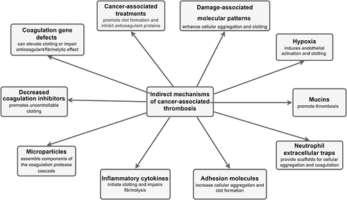 Figure 2 Schematic representation of the indirect mechanisms for cancer-associated thrombosis.