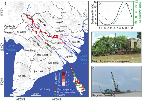 Figure 1. (a) Map of the VMD illustrating the distribution and density of BC, district names, and an inset map displaying the location of operational, under construction, and planned dams. The Tien and Hau sections, corresponding to the bathymetry survey, are outlined by a gray dotted rectangle. The green square dot signifies Can Tho’s discharge station (Q), while the blue background indicates the water body. (b) Seasonal discharge and water level (2014–2022) at the Can Tho. (c) Photograph showing a significant bank collapse in an SM zone. (d) Photograph of a BC used for sand extraction from the riverbed. S. Kumar took both pictures during a field survey near Long Xuyen City on the Hau River on 27th June 2022.