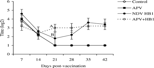 Figure 3.  NDV HI antibodies in the unvaccinated control, APV, HB1 or dual-vaccinated groups of chickens. Different superscripts between groups indicate that the values differ significantly (P < 0.05). Bar = standard deviation.