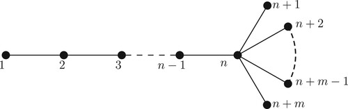 Figure 9. The broom Bn,m.
