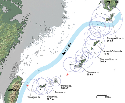 Figure 2. Geography of the Ryukyus 35,000–32,000 years ago reconstructed by lowering the sea-level 80m. The maximum visibilities of major islands from the sea surface during that period are shown by the circles (see Kaifu et al. Citation2020 for method). The oldest known calibrated ages of archaeological sites on six islands are indicated by the bold numerals. The MIS 3/2 flow path of the Kuroshio, which is similar to that in the present-day, is indicated by the thick blue line following Yang et al. (Citation2022). The circled red numbers indicate three major straits that are difficult to cross. Map created using the GeoMapApp 3.6.10 software based on the Global Multi-Resolution Topography synthesis (Ryan et al. Citation2009).