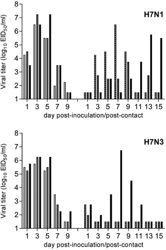 Figure 4. Transmissibility of LPAI H7 viruses from 2018 in ferrets. Three ferrets were inoculated with 106 EID50 in 1 ml of ck/TX (H7N1) or tky/CA (H7N3) virus, and nasal washes were collected on alternate days p.i. (left set of bars). Twenty-four hours p.i., a naïve ferret was placed in the same cage as each inoculated ferret and remained in direct contact for the duration of the experiment. Nasal washes were similarly collected (right set of bars). All nasal washes were titered in eggs with a limit of virus detection was 101.5 EID50/ml.