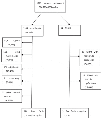 Figure 1. Flow-chart of the study cohort characteristics. CBAVD, congenital bilateral absence of the vas deferens; TESA-ICSI, testicular sperm aspiration-intracytoplasmic sperm injection; T2DM: type 2 diabetic mellitus
