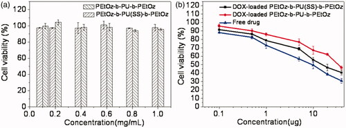 Figure 4. (a) Cytotoxicity of PEtOz-b-PU (SS)-b-PEtOz and PEtOz-b-PU-b-PEtOz micelles, against C6 cells after 24 h incubation using MTT assay. All data represent mean ± SD (n = 6). (b) Antitumor activities of DOX-loaded PEtOz-b-PU (SS)-b-PEtOz micelles in C6 cells. DOX-loaded PEtOz-b-PU-b-PEtOz micelles were used as controls. The cells were treated with DOX-loaded micelles or free DOX for 48 h. Data are presented as mean ± SD (n = 6).