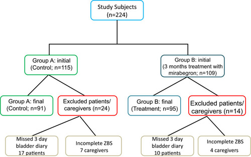 Figure 1 Study Flow Diagram Illustrating the Process of Screening and Selecting Patients and Caregivers.