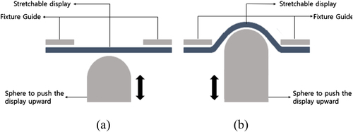 Figure 1. Example of controlled generation of three-dimensional stretching (a) before stretching and (b) after stretching.