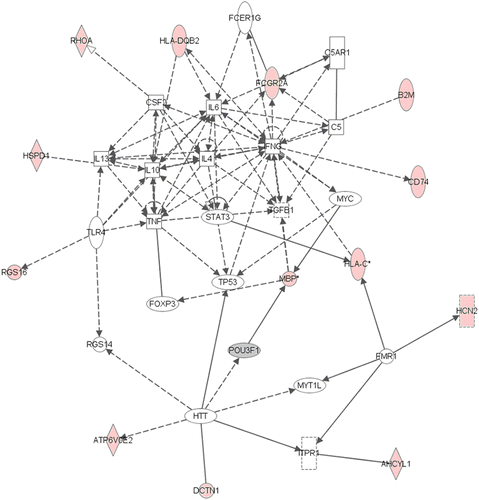 Figure 2.  Network 1 identified by IPA showing differentially expressed genes in female adult hippocampus after neonatal respiratory C. muridarum infection. Red shading indicates up-regulation of the gene. Gray shading indicates down-regulation. No color indicates genes that form the network and have no change in expression in the present study. Thirteen genes were differentially expressed after infection and were indirectly involved with cytokine regulation. For example, HLA DQB2 was increased following infection and identified to indirectly regulate IL-6 and IL-10. For full names of genes involved in the network, see Table IV.