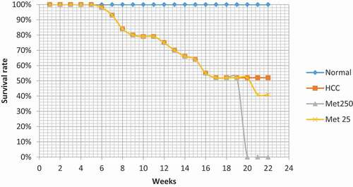 Figure 2. Effect of metformin on Kaplan-Meier survival curve in HCC-bearing mice.
