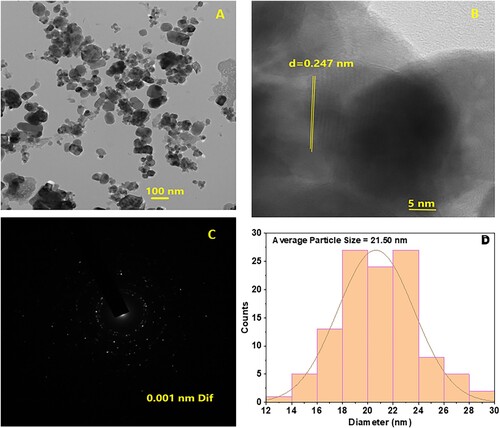 Figure 7. (A) Spherical shaped nanoparticles of rutile TiO2 annealed at 650°C (B) Interplanar spacing of 0.247 nm was observed (C) SAED pattern confirming polycrystalline nature of rutile TiO2 (D) Particle size distribution curve.