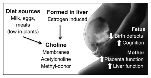 Figure 1 Women, during pregnancy and lactation, should eat diets that contain adequate amounts of choline.