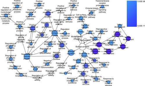 Figure 8 The BINGO analysis network: BP.