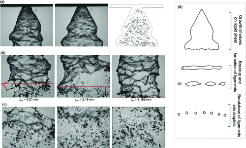 FIG. 6 Spray atomization and droplet formation. (a) Images taken from location R1C3 with the last image, after image processing is applied. (b) Images taken from R2C3—arrows indicate sheet ligaments breaking off and the red line indicates the breakup length, Lbu , by manual inspection. (c) Images taken from R3C3 by PDIA visualization. (d) Schematic of primary spray breakup. (Color figure available online.)