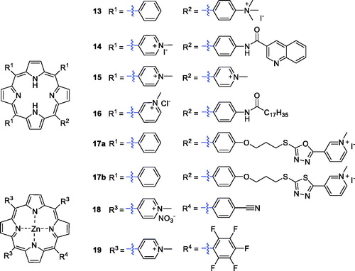 Figure 5. Structures of cationic porphyrin derivatives 13–19.