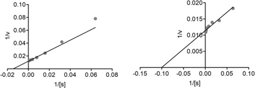 Figure 5 Lineweaver–Burk plots of acetylcholinesterase inhibition representing the reciprocal of initial enzyme velocity versus the reciprocal of substrate concentration in the presence of compound 1 and galantamine.