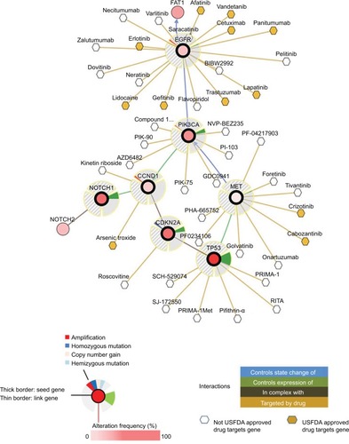 Figure 2 General interactions of genomic mutations (TP53, CDKN2A, CCND1, NOTCH1, PIK3CA, EGFR, and MET) and current target drugs.Notes: Primary data are from tumor samples with sequencing and CNA data (132 patients/samples) and could be accessed in cBioPortal.Citation6 Detailed description of data mining is (filter neighbors by max 28.8% alteration) found in http://www.cbioportal.org/results/network?Action=Submit&RPPA_SCORE_THRESHOLD=2&Z_SCORE_THRESHOLD=2&cancer_study_list=hnc_mskcc_2016&case_set_id=hnc_mskcc_2016_cnaseq&data_priority=0&gene_list=TP53%2520CDKN2A%2520CCND1%2520NOTCH1%2520PIK3CA%2520EGFR%2520MET&geneset_list=&percnt;20&genetic_profile_ids_PROFILE_COPY_NUMBER_ALTERATION=hnc_mskcc_2016_gistic&genetic_profile_ids_PROFILE_MUTATION_EXTENDED=hnc_mskcc_2016_mutations&tab_index=tab_visualize.Citation134,Citation135Abbreviations: US FDA, US Food and Drug Administration.