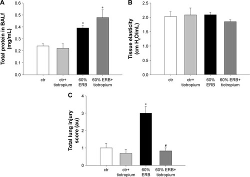 Figure 6 The effect of tiotropium bromide on lung permeability and injury following 60% of ERB.