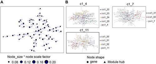 Figure 4 MEGENA of PMOP-related genes. (A) The common genes of the combined dataset and GSE56814 in the co-expression network. Each node represents a module, with the larger nodes indicating a higher number of genes. The combined dataset includes GSE13850 and GSE56815. (B) The MEGENA network showing the three largest gene modules. Each color represents one module, and triangles represent key genes in the module.