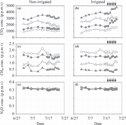 Figure 11 (a,b) N2O fluxes from the surface of the O-layer and (c,d) the N2O production rate in the O-layer plotted against soil temperature at a depth of 10 cm (a,c) and moisture at the 0–10 cm depth (b,d). Open and closed circles indicate data from non-irrigated and irrigated plots before irrigation and open and closed triangles indicate data from non-irrigated and irrigated plots during irrigation. †P < 0.1. Error bars indicate the standard error of each parameter.