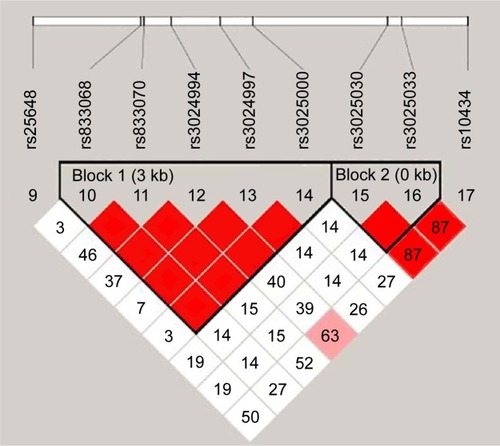 Figure 3 Linkage disequilibrium (LD) plots containing nine SNPs from the VEGFA.