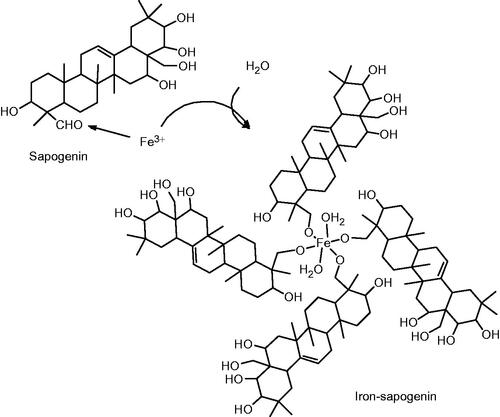 Figure 3. The scheme of iron–sapogenin synthesis from the sapogenin.