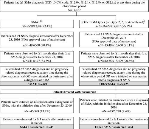 Figure 2. Sample selection. Abbreviations. FDA, Food and Drug Administration; HCPCS, Healthcare Common Procedure Coding System; ICD-10-CM, International Classification of Diseases, Tenth Revision, Clinical Modification; SMA, spinal muscular atrophy; SMA1, spinal muscular atrophy type 1. 1Patients were considered to have SMA1 if there were aged <2 years as of their first observed SMA diagnosis and had no procedure codes for braces, walker, or wheelchair. 2Of note, 287 patients (1.6%) patients aged 21 years or above as of their first SMA diagnosis who underwent gastrostomy were considered as non 5q SMA and were further excluded from the study.