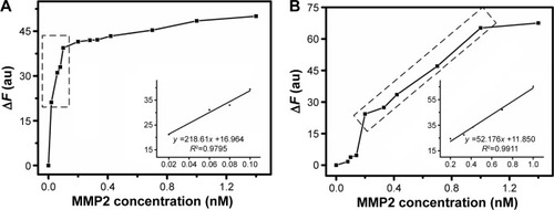 Figure 8 Linear concentration range of probes for MMP2 detection.Notes: The changed fluorescence intensity of nrGO/Pep-FITC (A) and c-nGO/Pep-FITC (B) probes (100 nM) versus MMP2 concentration. The insets at the bottom right indicate the linear regression of the enhanced fluorescence intensity (ΔF, at 518 nm) versus the concentration of MMP2. Linear detection range is indicated by dotted rectangle.Abbreviations: nrGO, reduced nano-graphene oxide; Pep-FITC, fluorescein isothiocyanate-labeled peptide; c-nGO, carboxylated nano-graphene oxide; MMP2, matrix metalloproteinase 2; ΔF, changeable fluorescence intensity; au, arbitrary unit.