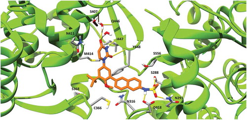 Figure 3. Dasabuvir’s binding pose with HCV NS5B polymerase generated using MD simulations. Dasabuvir is shown in orange, while HCV NS5B polymerase is shown in green. Clinically relevant HCV NS5B RASs and residues forming hydrogen bonds with dasabuvir are displayed with residue indexes. Hydrogen bonds are shown as yellow lines.