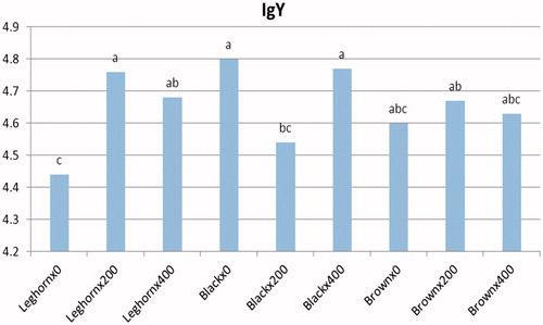 Figure 3. Interaction between probiotic level and breed of immunoglobulin IgY.