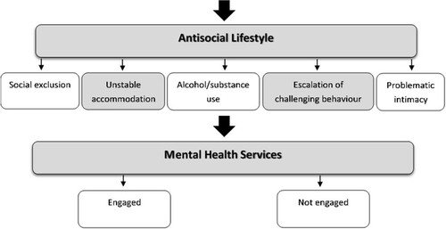 Figure 2. Phase 2: early adulthood (aged 18+).