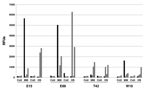 Figure 5. Relative expression levels of MYH11, FABP4, DCN, and TIMP4 in hEP cell lines differentiated in BMP4 in both micromass and HyStem-4D bead arrays. Expression levels of MYH11 (solid black), FABP4 (stippled), DCN (gray) and TIMP4 (cross-hatched) are shown for the hEP cell lines E15, E69, T42, and W10 in both micromass and HyStem-4D bead arrays both being supplemented with BMP4. (RFUs, relative fluorescence units; RFU values of < 100 considered as background signal). Cntl, Control; MM, micromass; HS, HyStem-C constructs.