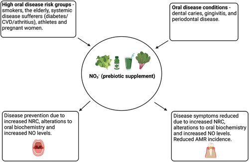 Figure 4. NO3− as a prebiotic for oral health. NO3− supplementation could be used in high risk groups to prevent oral disease (left side) or be used as a treatment method for individuals with oral disease(s) (right side) (created with BioRender.com).