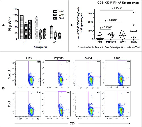 Figure 5. Characterization of the self-assembled Lassa fever virus vaccine (SAVL). A) ATPase activity of MAV, MAVf, and SAVL using 25, 50 and 100 ng. The assay was carried out as described in Materials and Methods. (B) Flow cytometric analysis of splenocytes from mice immunized with SAVL. Splenocytes from mice immunized with PBS, peptides, MAVf and SAVL were prepared as described and stimulated with medium alone or a pool of class II peptides (10 μg/ml). Total incubation time was 24 hours at 37°C. Brefeldin A was added 4 hours prior to harvest. (C) Comparison of splenocytes response to class II Lassa fever virus specific peptides between different immunization groups.