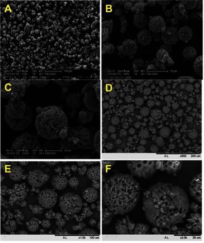 Figure 2 SEM images of PHB-HV 8%-MS in Philips XL30 Microscope (A–C) and Tabletop Microscope TM3000 (D–F). Magnifications: (A) 100×, (B) 500×, (C) 1000×, (D) 500×, (E) 1000×, and (F) 2000×.Abbreviations: SEM, scanning electron microscopy; PHB-HV, poly(3-hydroxi-nutyrate-co-3-hydroxy-valerate); MS, microspheres.