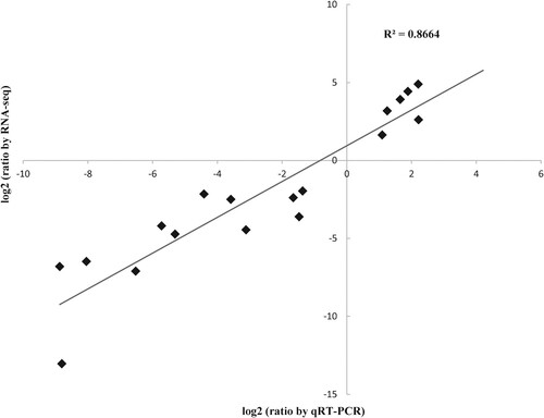 Figure 4. The expression change of genes identified by RNA-seq showed the high correlation with the expression level obtained from qRT-PCR. Twenty differentially expressed genes (as shown in rectangle dots) identified from different comparisons were randomly selected for their expression validation by quantitative RT-PCR (qRT-PCR). The x-axis shows the log 2 (fold change of mRNA levels) measured by qRT-PCR. The qRT-PCR data are shown as relative expression levels normalized to the internal control β-actin (ACTB). The y-axis shows the log 2 (fold change of RPKM values) by RNA-seq. The detailed validation results for each gene are also shown in supplementary Fig. S7.