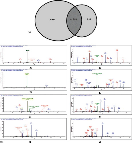 Figure 4. (a) Distribution of phosphopeptides between PHOS-Select IMAC and Ga-IMAC. The larger circle represents the phos-select imac analysis that uniquely identified 325 phosphopeptides and smaller circle represents the Ga-IMAC analysis that uniquely identified 48 phosphopeptides, while the middle area represents 83 phosphopeptides that were commonly identified by both PHOS-Select IMAC and Ga-IMAC. (b) Comparative analysis of peptide sequences and their spectra. A, B, C and D spectra were identified as phosphopeptides by PHOS-Select IMAC, while the same peptide spectra was identified as unphosphorylated by Ga-IMAC represented by a, b, c and d.