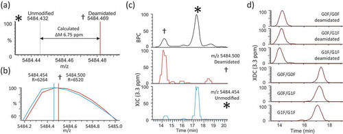 Figure 7. High Specificity Sliding Window ReSpect deconvolution. (a) Simulated spectra are shown for the deamidated (†) and relatively unmodified (*) isoforms of trastuzumab G0F/G0F 27+ charge states. The centroid peak apices of the two isoforms are distinguished by a calculated mass difference of 6.75 ppm. (b) Experimentally-measured m/z values for deamidated and unmodified G0F/G0F 27+ions are shown as profile and centroid. (c) Top panel shows base peak chromatogram (BPC) with labeled peaks corresponding to deamidated and relatively unmodified isoforms. Bottom panels show XIC traces for deamidated and unmodified isoforms rounded to nearest hundredth m/z value and plotted using a 3.3 ppm extraction width. (d) Major isoforms (corresponding to the top 3 glycan combinations +/- deamidation) are detected using Sliding Window deconvolution and plotted as individual XDC traces (3.3 ppm mass/merge tolerances).