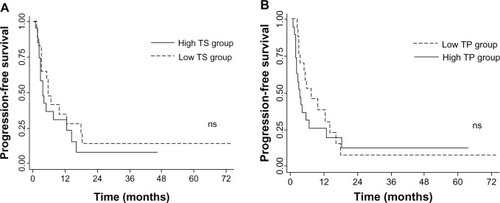 Figure 2 Kaplan–Meier plot of progression-free survival.