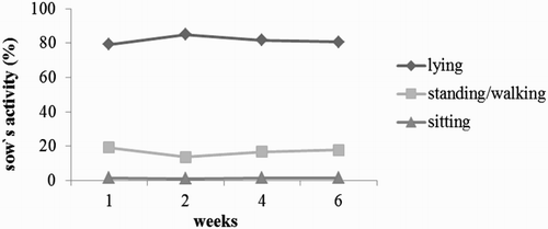 Figure 4. Percentage of sows’ activities in the course of housing period relating to total number of observations.