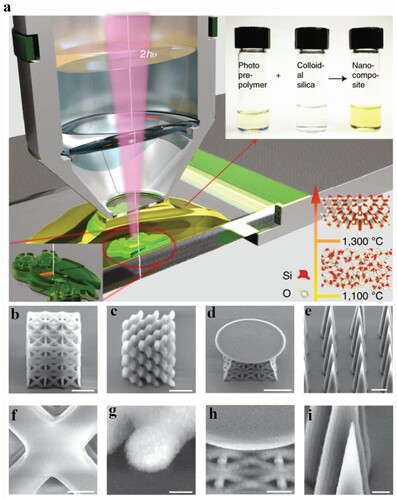 Figure 7. (a) Schematic of set-up and process for TPP-enabled 3D printing of silica nanoparticles. Upper right inset. photo of the as-synthesized polymer precursors, the colloidal silica nanoparticles and the as-synthesized nanocomposite ink. Bottom right inset. atomic structures of silica under different sintering temperatures. (b–e) SEM images of 3D-printed structures. face-centred cubics (fcc) lattice truss structure (b; scale bar 5 μm), diamond lattice truss structure (c; scale bar 10 μm), disc-on-truss structure (d; scale bar 10 μm), and needle array (e; scale bar 10 μm). (f) Zoomed-in top view of fcc lattice truss structure (scale bar 400 nm). (g) Zoomed-in top view of diamond lattice truss structure (scale bar 1 μm). (h) Zoomed-in top front view of disc-on-truss structure (scale bar 2.5 μm). (i) Zoomed-in top front view of needle array; tip radius 230 nm (scale bar 2.5 μm).