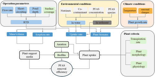 Figure. 2. Factors influencing PFAS removal via plants, microorganisms, and plant growth media.