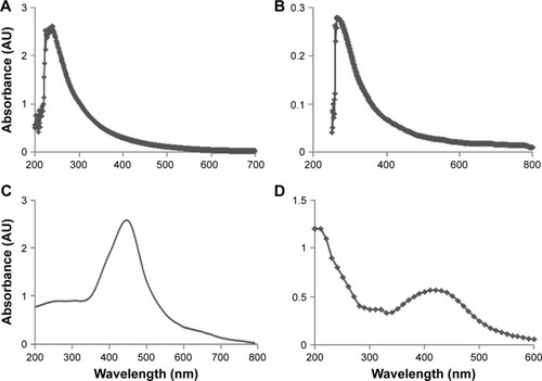 Figure 1 Characterization of GO, rGO, AgNPs, and rGO-AgNP nanocomposites using ultraviolet-visible spectroscopy.Notes: (A) Spectra of GO exhibited a maximum absorption peak at ∼231 nm, corresponding to the π–π transitions of aromatic C–C bonds. (B) The absorption peak for rGO was red-shifted to 263 nm. (C) The absorption spectrum of AgNPs synthesized by C-phycocyanin exhibited a strong broad peak at 420 nm, which was assigned to surface plasmon resonance of the NPs. (D) A new peak at 420 nm was observed after deposition of AgNPs on the rGO surface; the band at 420 nm in the absorption spectrum of the rGO-AgNP nanocomposite was attributed to surface plasmons and the presence of AgNPs. At least three independent experiments were performed for each sample, and reproducible results were obtained. The data show the results of a representative experiment.Abbreviations: rGO, reduced graphene oxide; NPs, nanoparticles.