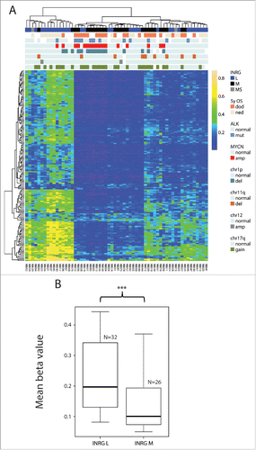 Figure 4. Non-CpG methylation. (A) Hierarchical cluster analysis of most variable non-CpG sites (n=168 sites) defines 3 main groups of patients with different methylation frequency. (B) Boxplot presenting mean methylation level of non-CpG sites in INRG L (n=32) compared with INRG M (n=26).