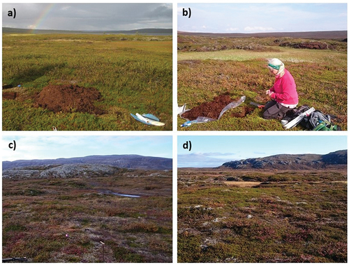 Figure 2. Images showing the landscape and vegetation at the four sampling sites: (a) Dávva, (b) Riba, (c) Lakselv, and (d) Karlebotn.