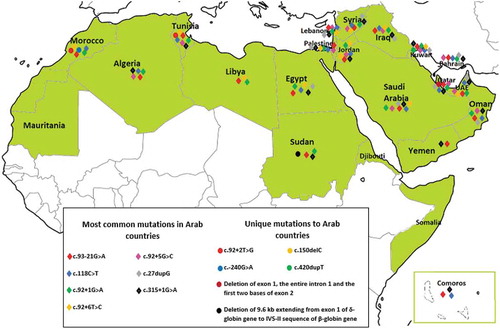 Figure 2. Distribution of HBB mutations in Arab countries. The green color indicates Arab countries. The mapping was limited to the most common and unique mutations only, the entire list of mutations are list in Supplementary Table 1: Beta-thalassemia HBB gene shared mutations between Arabs and other ethnic groups Note: The map is extracted from the free map product (http://english.freemap.jp/item/africa/africa_1.html)/Africa’s regional Thumbnail, under the Creative Commons Attribution 3.0 unported (CCBY3.0) license
