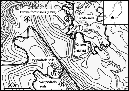 Figure 1 Locations of the pedons in the present study. Thick lines approximately indicate the boundaries between different soils except for rocky land on steep slope and a bank of the lake Kuwanuma (National Land Agency Citation1994).