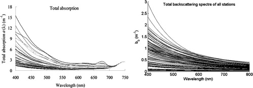 Fig. 2 Total absorption spectra a(λ) (left) and total backscattering coefficients bb(λ) (right) at all available sites in Lake Taihu.