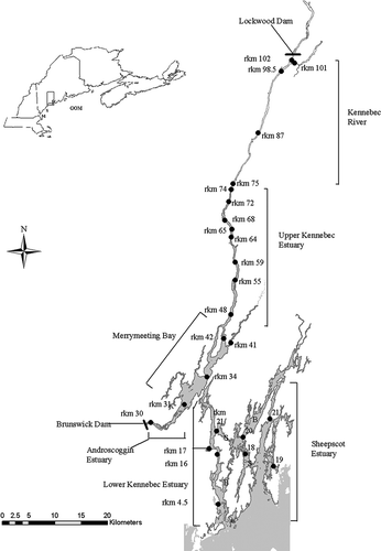 FIGURE 2. Detailed map of the Kennebec system in Maine. Receiver locations are indicated by black circles and river kilometer (rkm). Letters indicate the Sasanoa River (S) and the Back River (B). Dam locations are indicated by bold black lines.