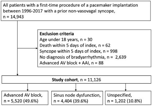 Figure 1. Flowchart of the study cohort. AAI: pacemaker with an atrial lead; AV: atrioventricular.