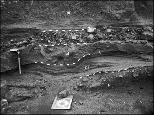 Figure 7 Black-and-white photograph of lower part of unit 3 shows distinctly bedded character of massive pyroclastic-flow (pf), laminated pyroclastic-surge (ps), and fines-poor tephra fallout deposits (tf; shovel about 50-cm long). Upper half of middle pyroclastic-flow deposit displays pink high-temperature oxidation. Dashed lines show partial contacts between beds. Exposure is on west coast several hundred meters south of site of Figure 6 (USGS photograph by W. E. Scott).